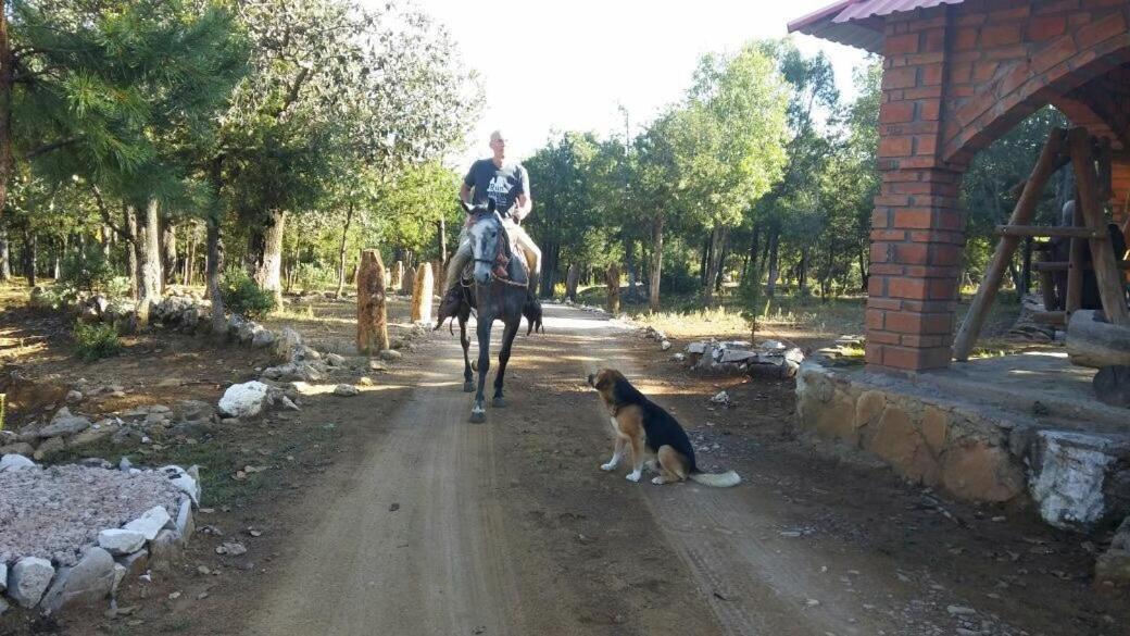 Rancho Cabanas San Isidro Cerocahui Екстер'єр фото