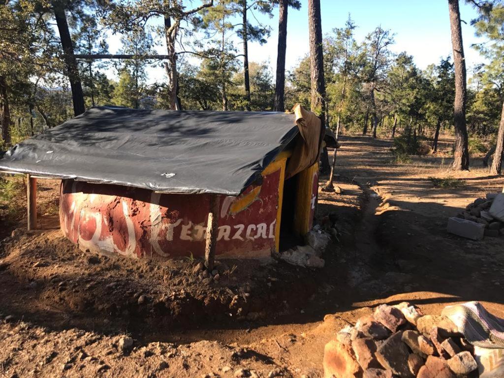 Rancho Cabanas San Isidro Cerocahui Екстер'єр фото