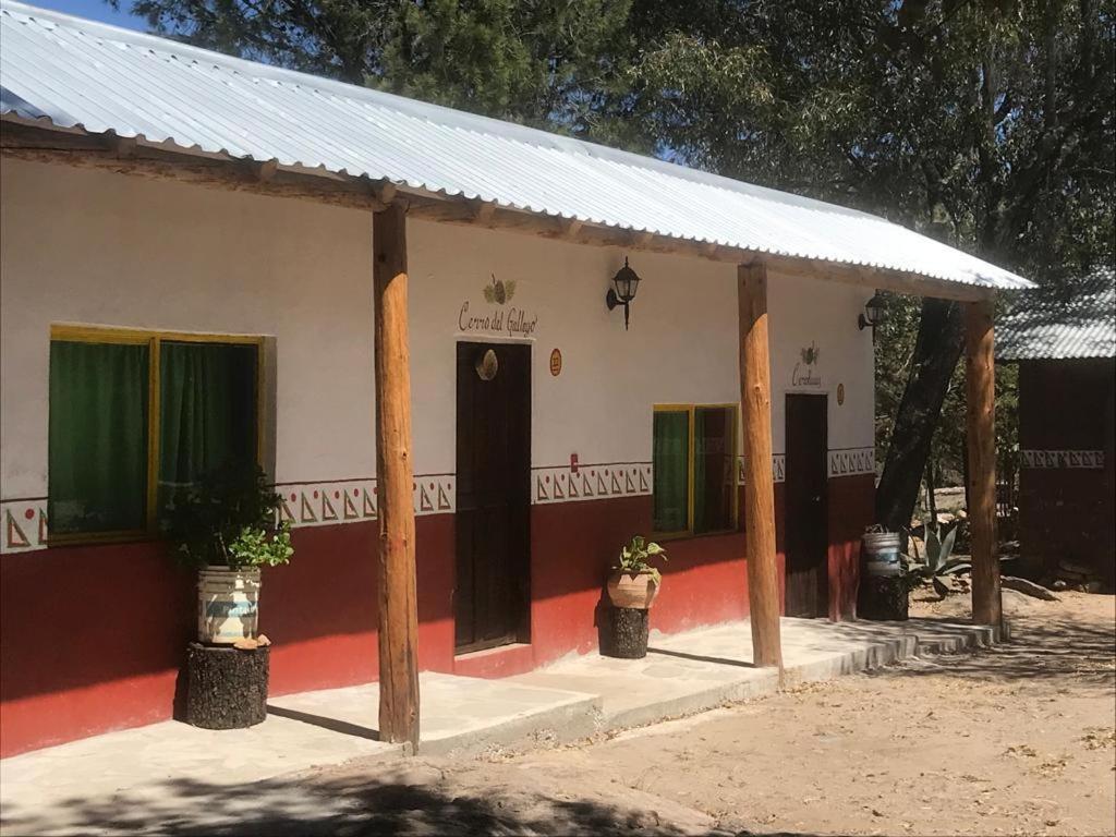 Rancho Cabanas San Isidro Cerocahui Екстер'єр фото